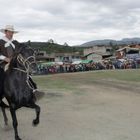 Caballo Peruano de Paso en San Marcos Cajamarca