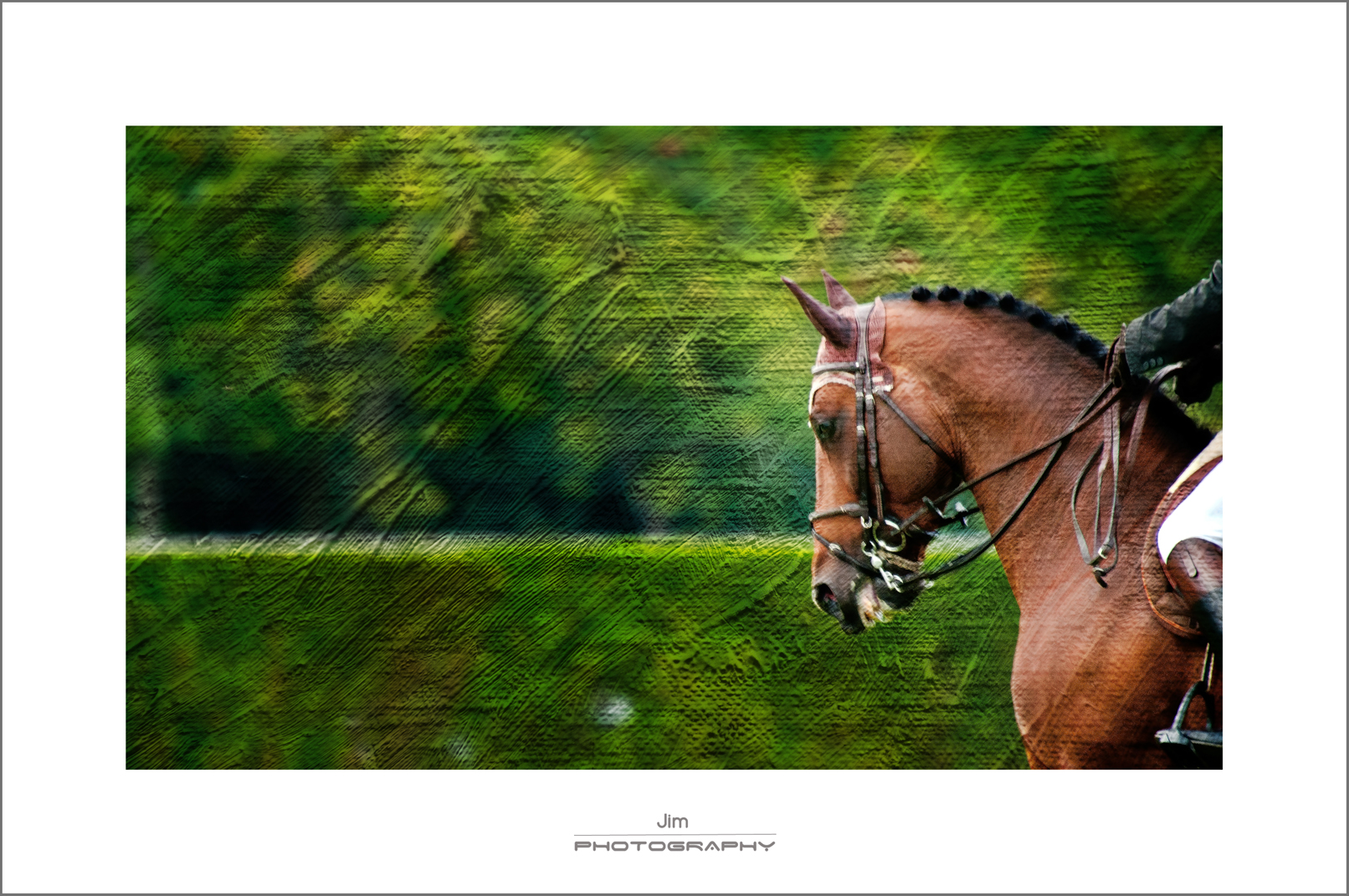 CABALLO ( trabajando con texturas )