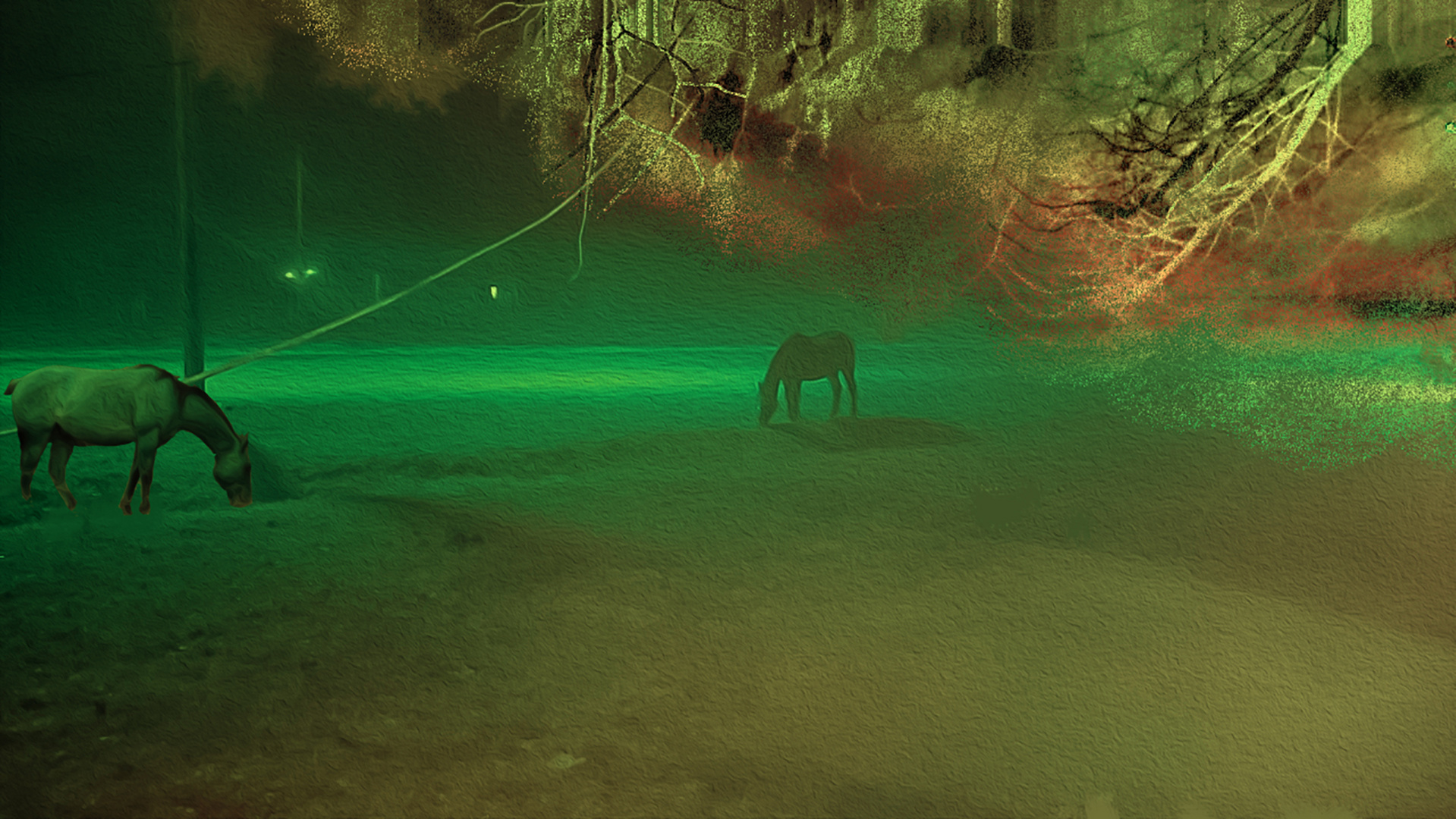 Caballos bajo la luz de la luna