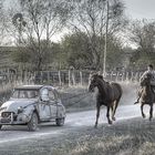 Caballos de Potencia