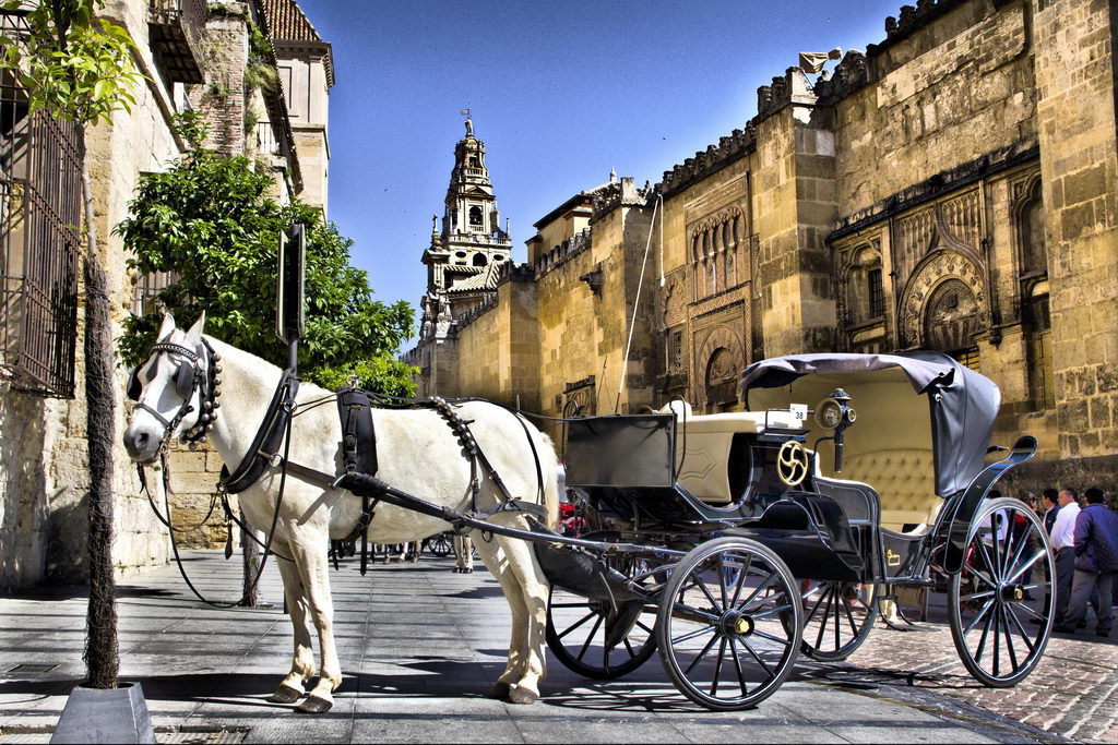 Caballos en la Mezquita