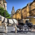 Caballos en la Mezquita