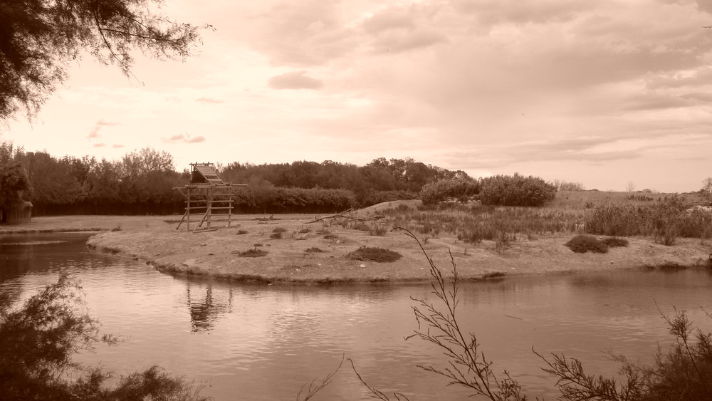 cabane