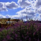 cabane