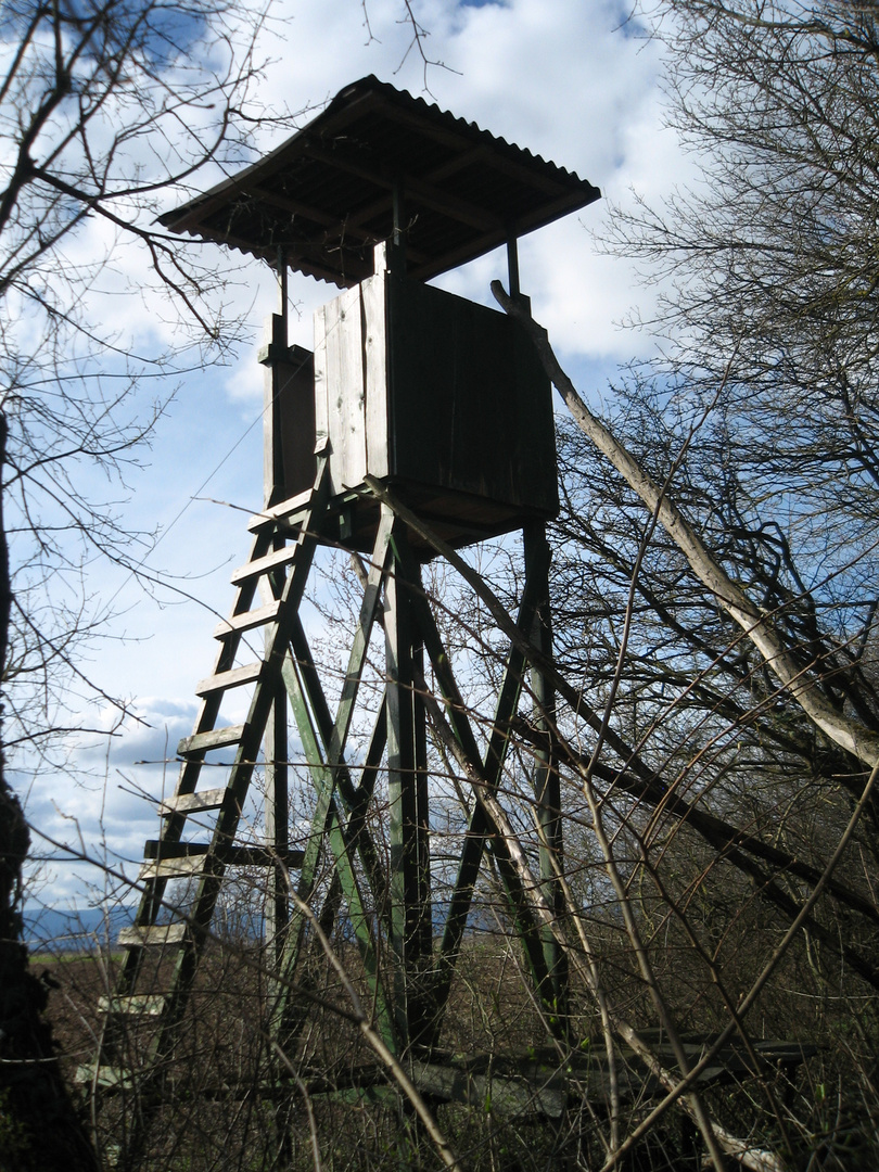 Cabane