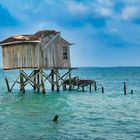 Cabane abandonnée 