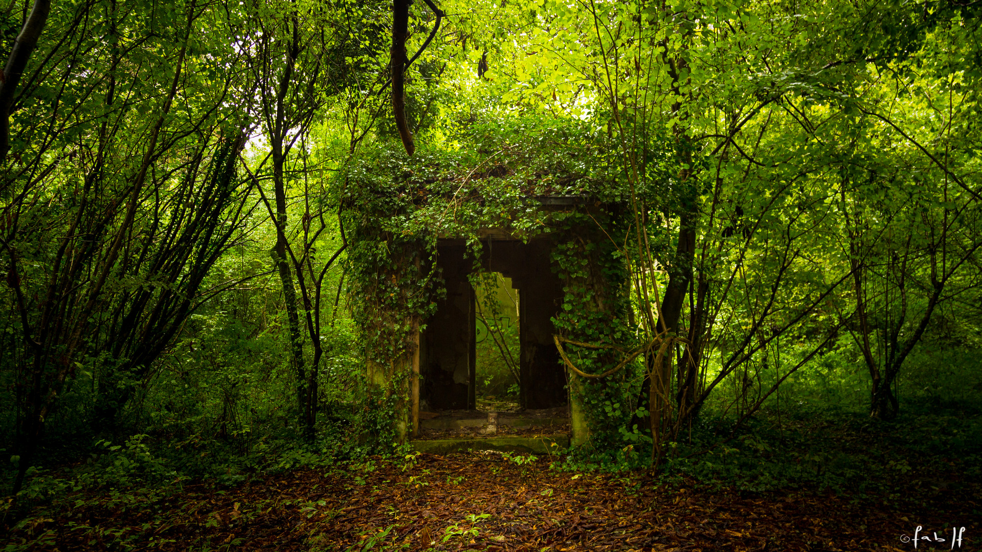 cabane au fond du jardin