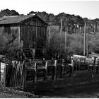 Cabane au Port de La Hume - Bassin d'Arcachon