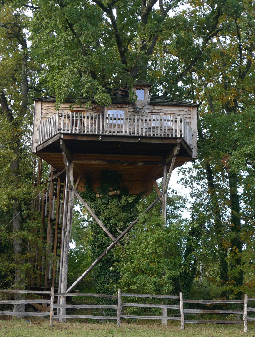 Cabane dans les arbres