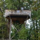 Cabane dans les arbres