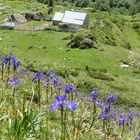 Cabane de berger sur le sentier de l'Arbizon.