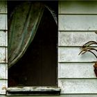 Cabane de jardin