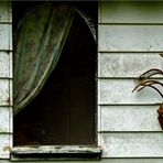 Cabane de jardin