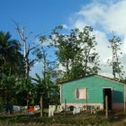 cabane des Caraïbes