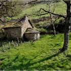 Cabane des près