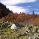 Cabane en Barn