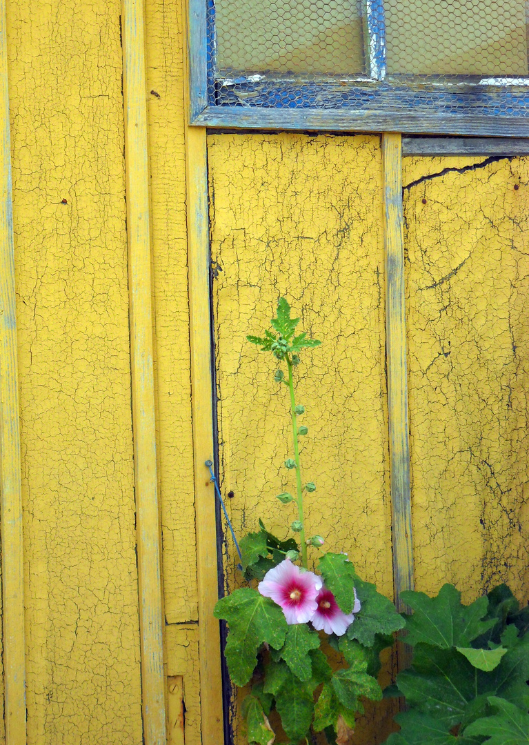 cabane en Oleron