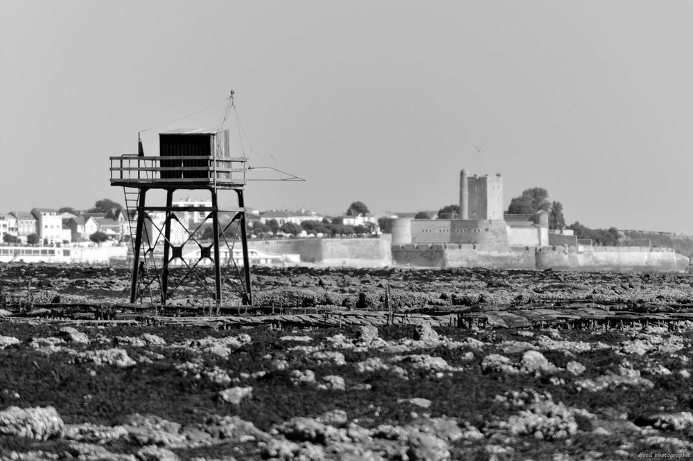 cabane et vue sur Fouras