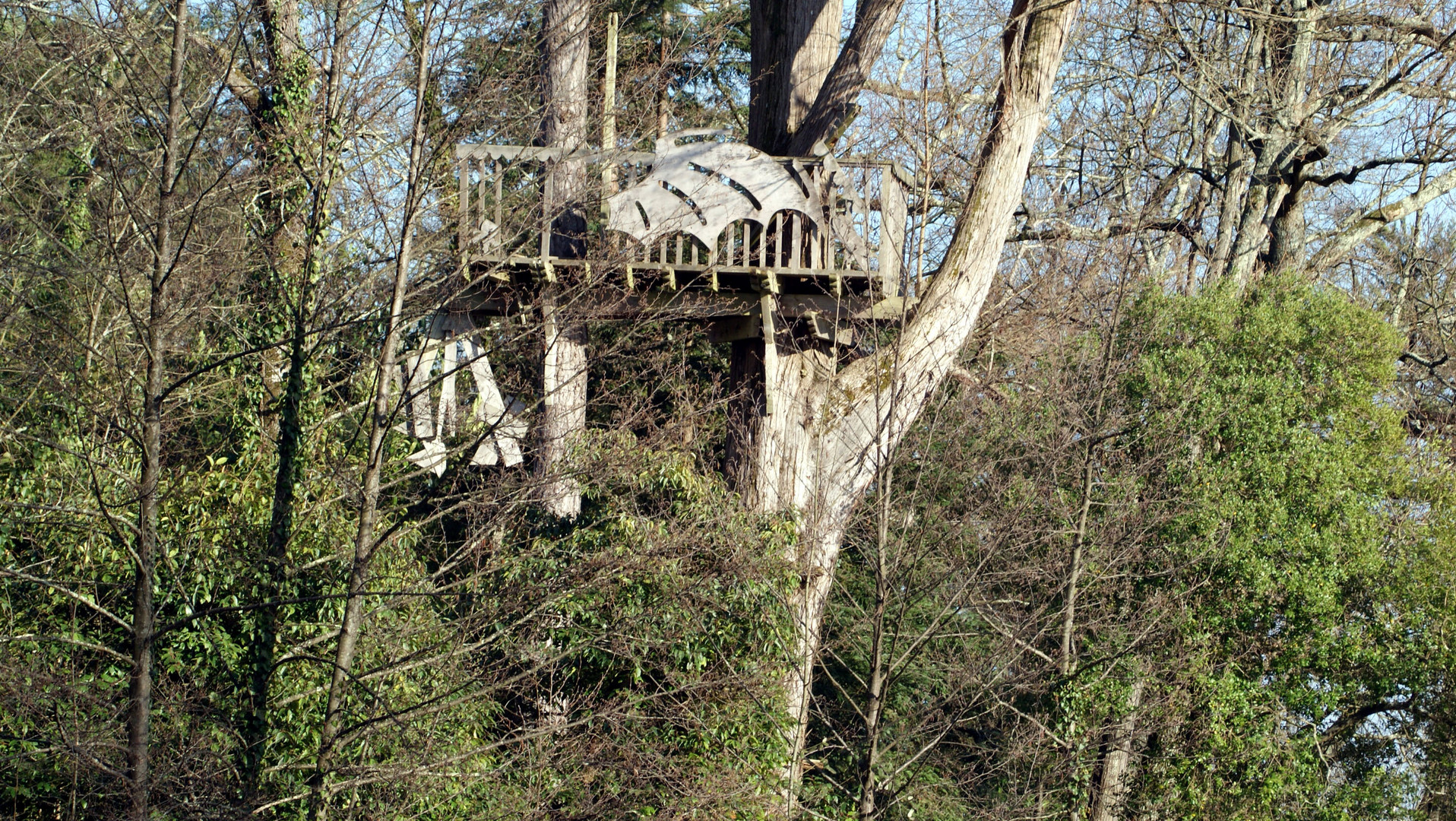 cabane haut perché dans les arbres!