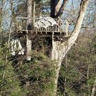 cabane haut perché dans les arbres!