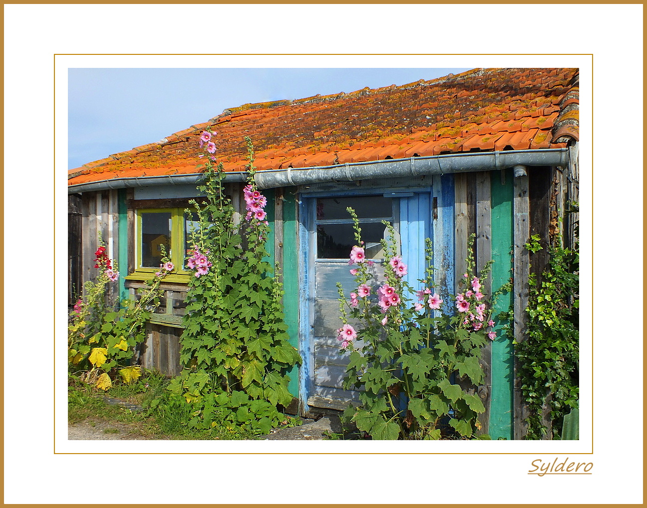 Cabane ostréicole