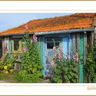 Cabane ostréicole