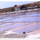 Cabane près des marais salants