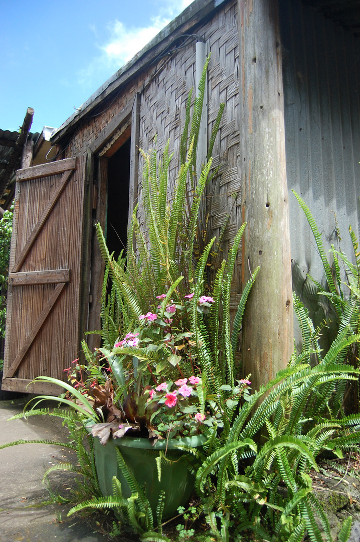 cabane reunionaise