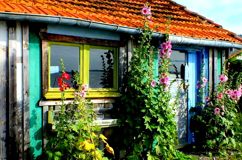 Cabane sur le port de St-Trojan