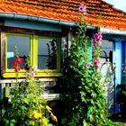 Cabane sur le port de St-Trojan