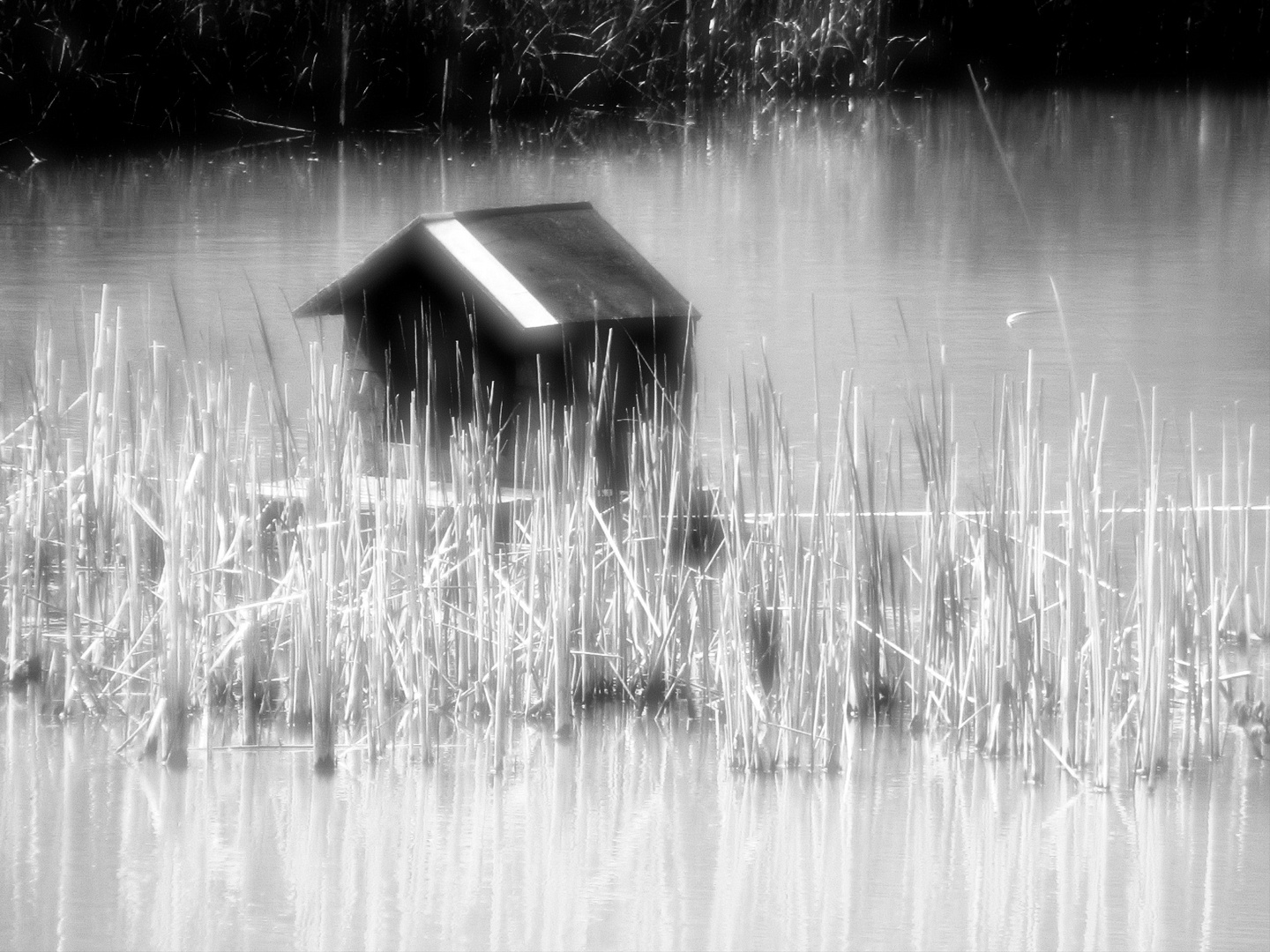 Cabane sur l'eau