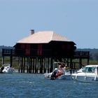 cabane tchanquée ,bassin d'arcachon .