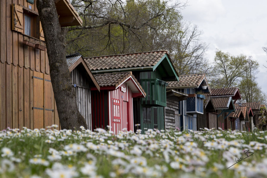 Cabanes de pêcheur