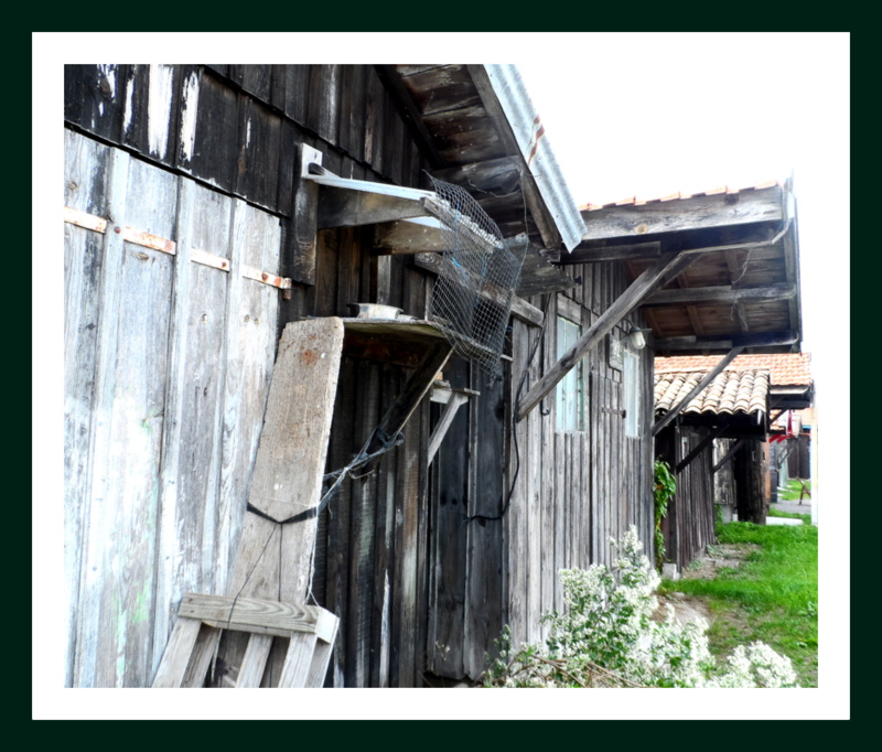 Cabanes d'ostréiculteurs.....