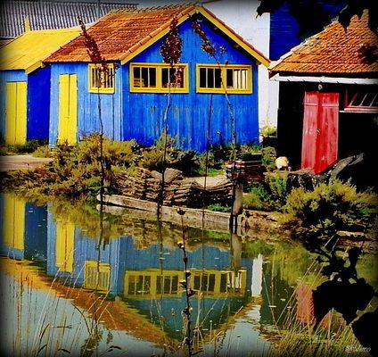 Cabanes ostréicoles