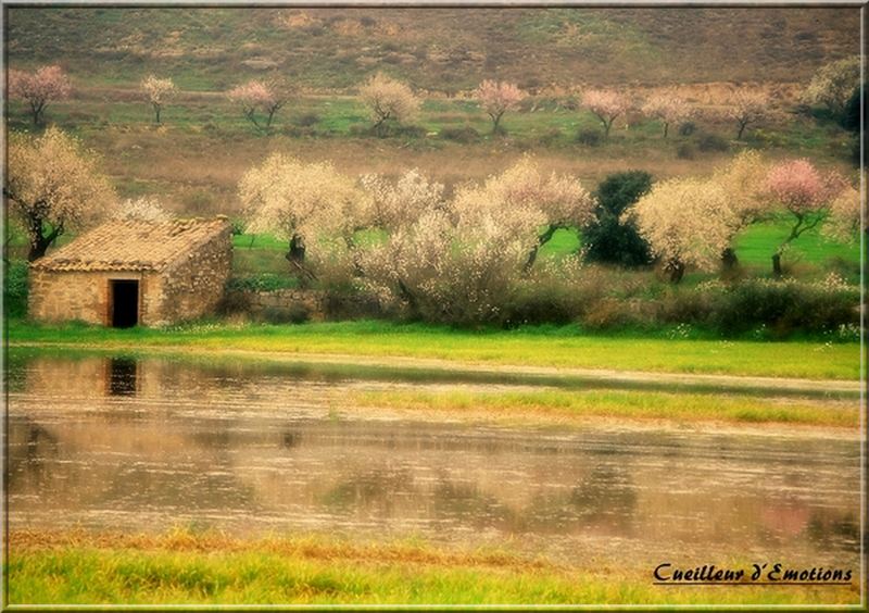 cabanne aux amandiers