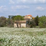 cabanon à outils 