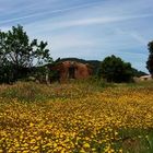 cabanon (=hut) in the mistral