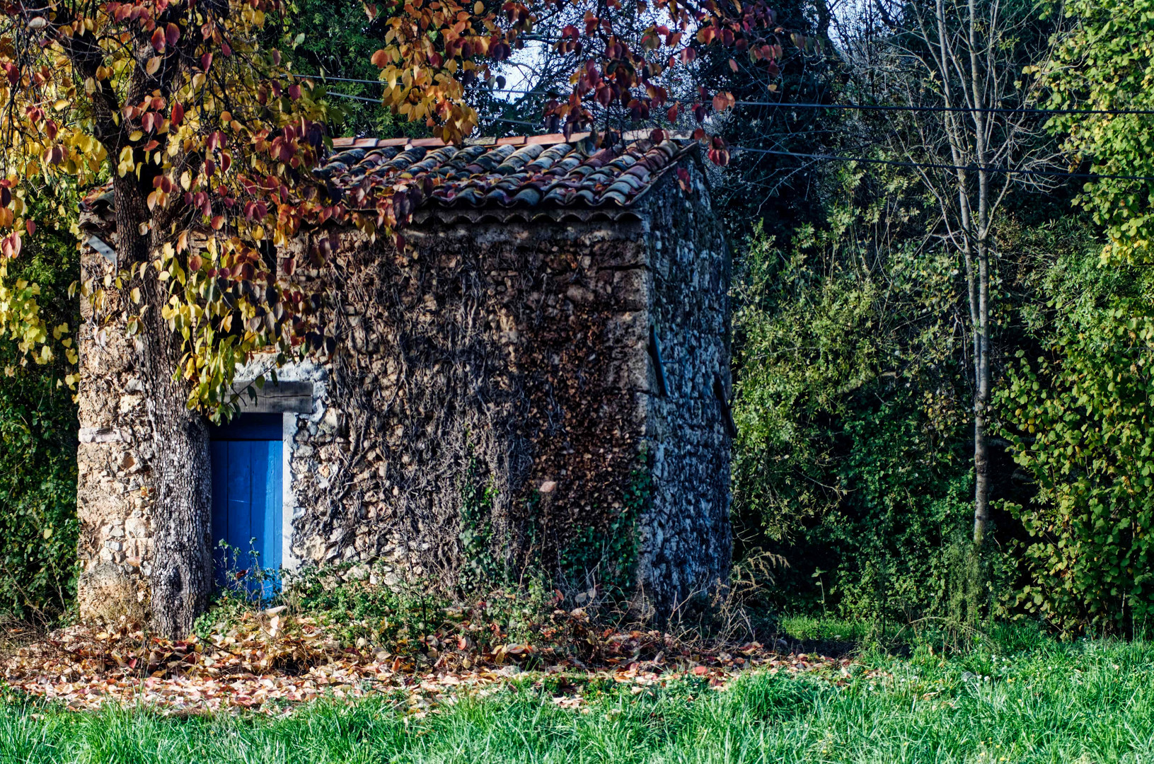 Cabanon in den schönsten Herbstfarben