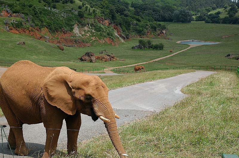 Cabárceno