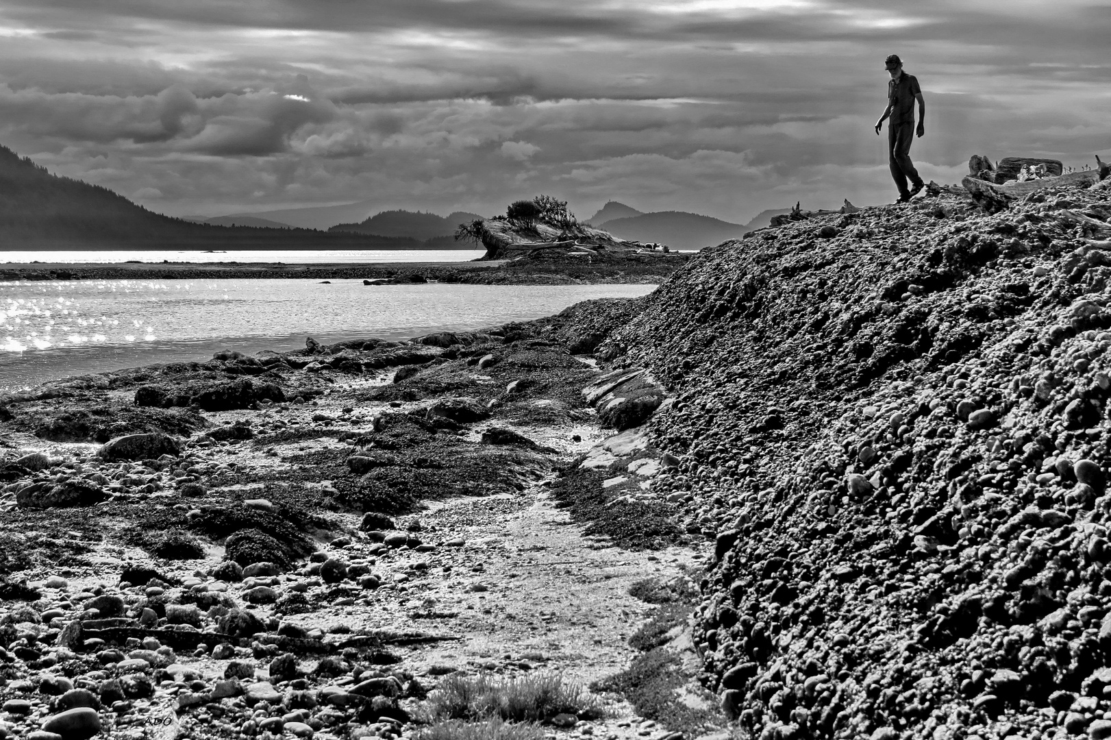 Cabbage Island Walk