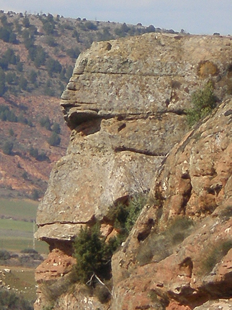 cabeza de gorila (Tiermes, Soria)