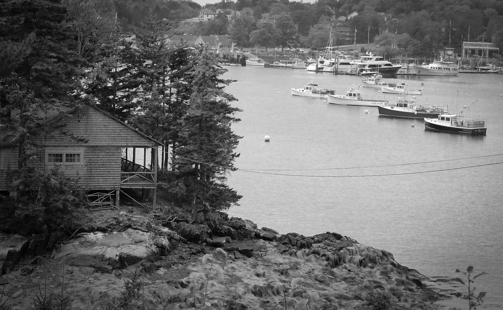 Cabin by the Harbor 