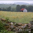 cabin in the clearing