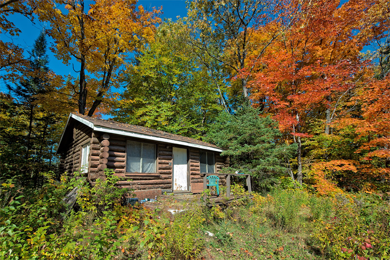 Cabin in the fall woods