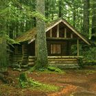 cabin in the forest