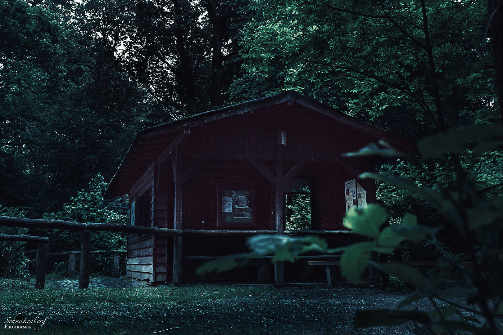 Cabin in the Woods 