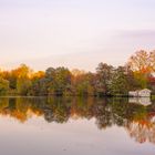 Cabin on the Lake