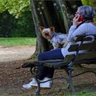 cabine téléphonique  en plein air !