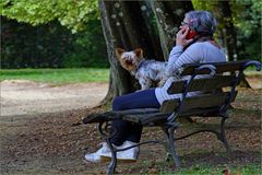 cabine téléphonique  en plein air !